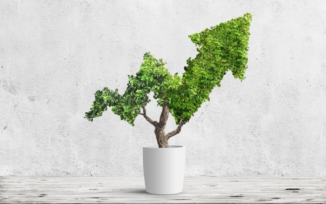 Responsibility plus returns: Why Link is sold on the ESG investing approach