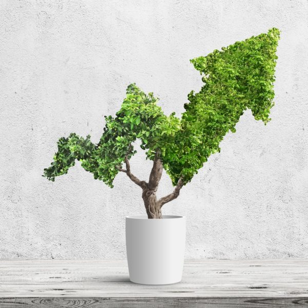 Responsibility plus returns: Why Link is sold on the ESG investing approach